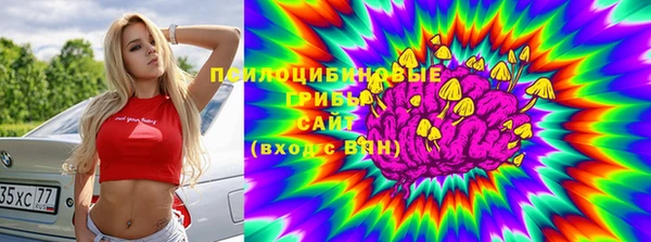 2c-b Козельск
