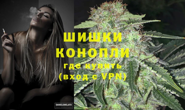 2c-b Козельск