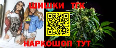 амф Новозыбков