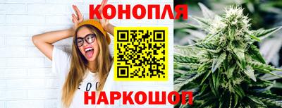 амф Новозыбков