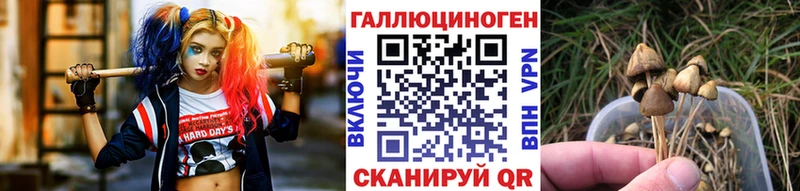 Галлюциногенные грибы ЛСД  Фурманов 