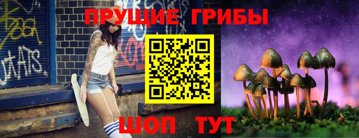 Псилоцибиновые грибы прущие грибы Фурманов